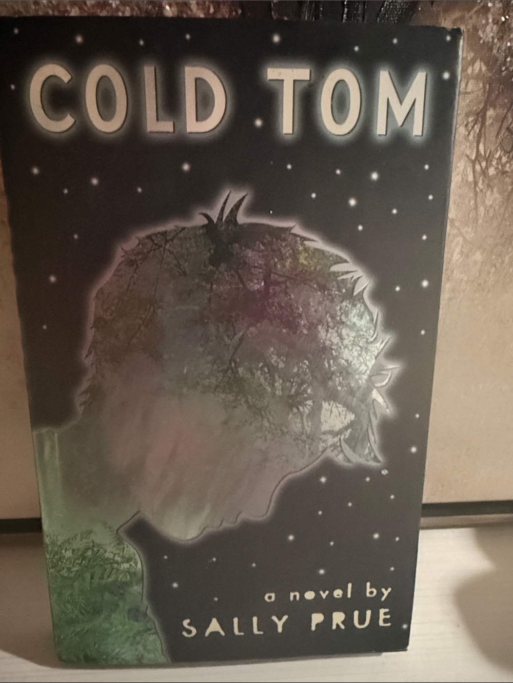 Cold Tom, by Sally Prue